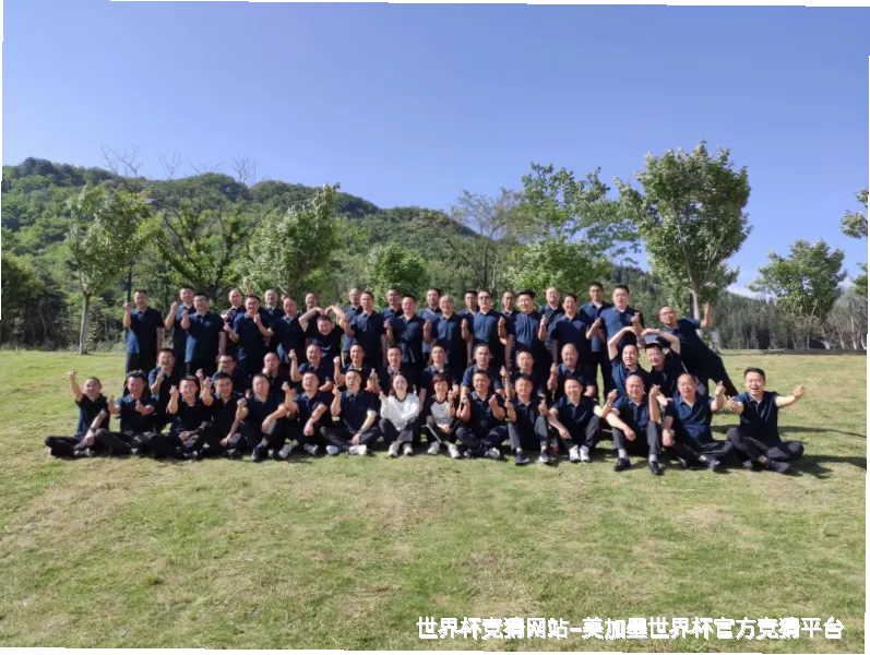 核心团队与专业资质